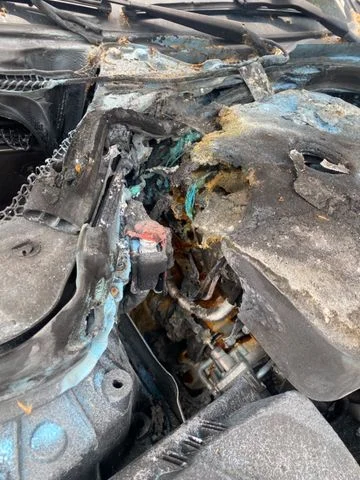 BMW 320 – 25