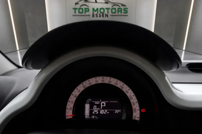 Renault Twingo – 19