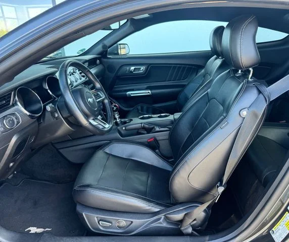 Ford Mustang – 17